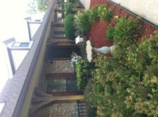 Silver Ridge Assisted Living