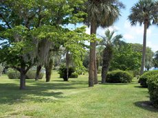 Park of the Palms